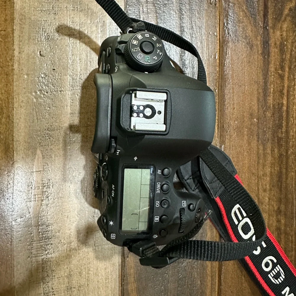 Canon 6D Mark II and sigma 35mm